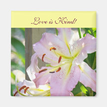 ¡El amor es bueno! flores rosadas del lirio de los