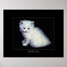 EL AMOR ES… Poster blanco del arte del gatito