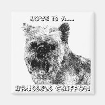 ¡El amor es una Bruselas Griffon! Iman