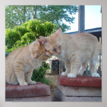 El amor Nuzzle… Poster