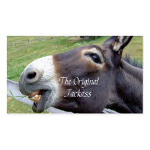 El animal del campo divertido de la mula del burro plantillas de tarjetas de visita