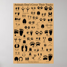 El animal sigue el poster