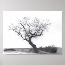 el árbol de la abuela posters