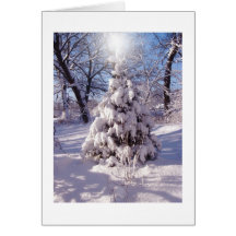 El árbol de navidad perfecto -- con la estrella felicitacion 