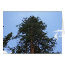 El árbol felicitación