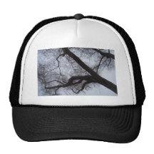El árbol gorro de camionero