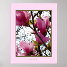 El árbol magnífico de la magnolia florece el poste