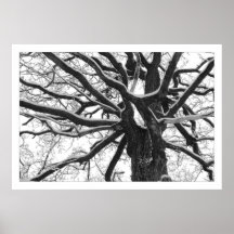 El árbol impresiones