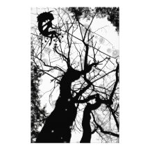 EL ÁRBOL WEBBY DE HADAS BURBUJEA B&W PAPELERÍA DE DISEÑO