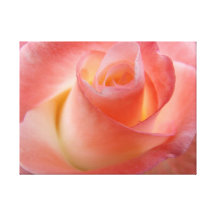 El arte color de rosa rosado de la lona imprime fl lienzo envuelto para galerias