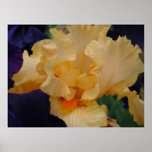 El ARTE de la OFICINA imprime las flores púrpuras  Poster