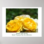 El arte de la rosaleda del verano imprime las flor posters