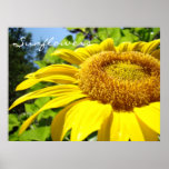 El arte de los girasoles imprime la flor de Sun de Posters