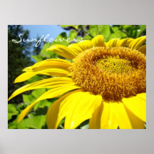 El arte de los girasoles imprime la flor de Sun de Posters