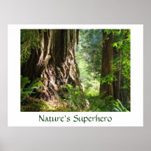 El arte del super héroe de la naturaleza imprime á poster