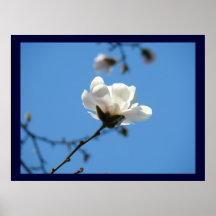 El arte floral azul imprime la flor del árbol de l impresiones