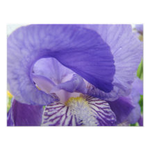 El arte púrpura de la fotografía de la flor del ir
