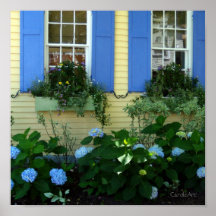 El azul del Hydrangea Shutters el poster