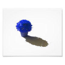 El azul florece el cubo y la sombra blancos cojinete
