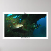 El barracuda-Poster de Tulamben