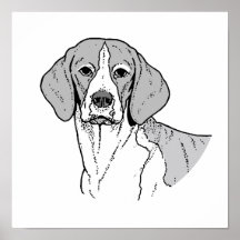 EL BEAGLE POSTERS