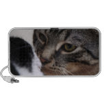 El besarse de dos gatos altavoces de viajar