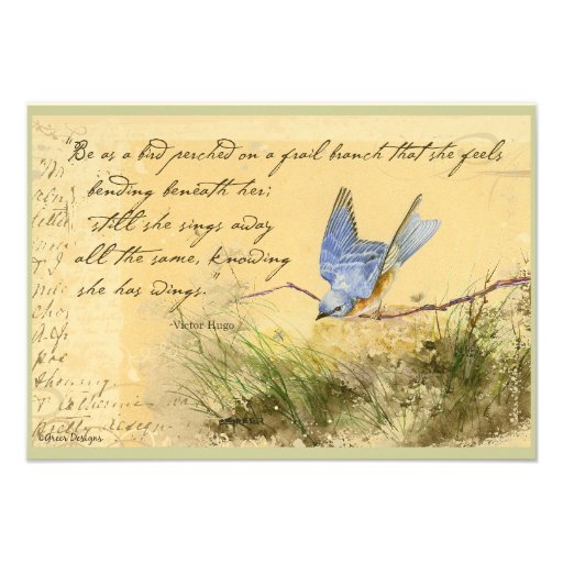 El Bluebird en la cita de Victor Hugo de la rama i Comunicados