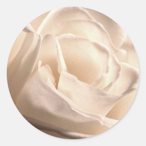 El boda del rosa blanco invita al pegatina del sel