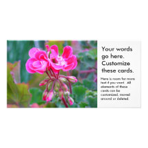 El bonito en rosa florece arte hermoso de la foto  tarjeta fotográfica