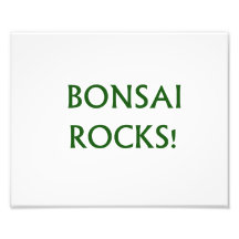 El bonsai oscila decir del lema hecho en texto ver arte con fotos