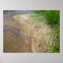 El borde del agua impresiones