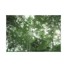 El bosque 22 estiró la impresión de la lona impresiones en lona estiradas