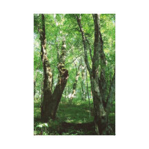 El bosque 64 estiró la impresión de la lona impresiones en lona estiradas