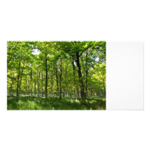 El bosque pacífico tarjetas fotográficas personalizadas