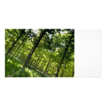 El bosque tarjeta fotografica personalizada