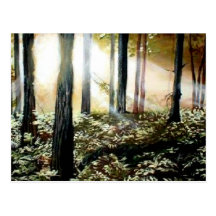 El bosque tarjetas postales