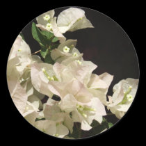 El Bougainvillea blanco florece la etiqueta engoma pegatinas