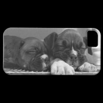 El boxeador persigue la caja universal del iPhone  cárcasas casemate