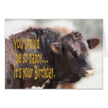 El bravo Bull Cumpleaños-personaliza Felicitación