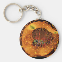 El brillar intensamente negro celestial del oro llaveros personalizados