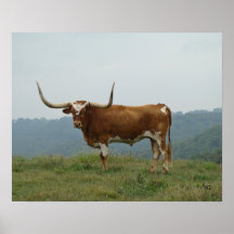 El buey del fonolocalizador de bocinas grandes en  posters