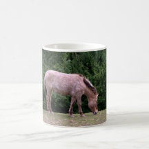 El caballo de Przewalski Tazas