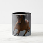 El caballo del vaquero llamó Riboking Tazas