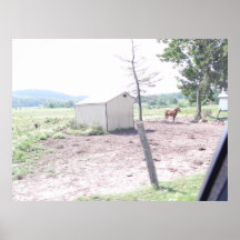 El caballo posters