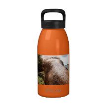 El caballo sabe botellas de beber