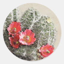 El cactus florece las ilustraciones pegatinas redondas