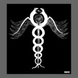 El caduceo posters