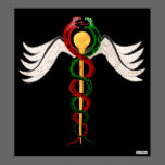 El caduceo posters