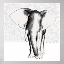 El caminar del elefante poster