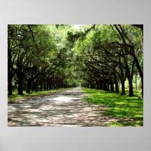 El camino a usted posters